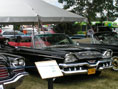 IOLA2009-PICT2677
